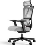 ProtoArc EC100 Ergonomic Office Chair – Computer Desk Chair for Work with 10cm Thicker Spring Cushion, Lumbar Support, Adjustable Armrest & Headrest, Swivel Mesh Chair for Home Office, Grey