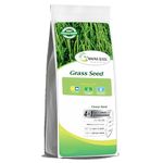 American Bermuda Lawn Grass Seeds for Lawn, Turf, Cricket Ground, Stadium, Park, Farmhouse, Sports Field, Garden Grass, Fast Growing, Gardening Seeds | (Bermuda Lawn Grass Seeds)