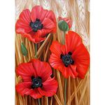 5D Diamond Painting Kits, Beautiful Red Poppy Flowers WOWDECOR Full Drill DIY Diamond Art Cross Stitch Paint by Numbers