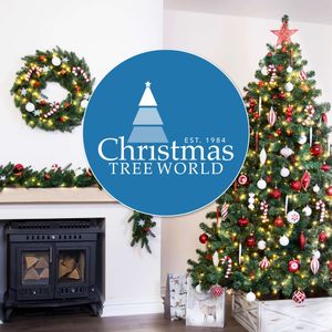 Christmas Tree World 5ft Pre-Lit Pine Christmas Tree – Indoor Holiday Decor