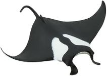 Manta Ray