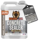 BEEST Concrete Sealer Outdoor - Driveway Sealer, Silane/Siloxane Patio Paver Sealer, Stone Sealer Outdoor & Brick Sealer Exterior Concrete Sealant, Clear Natural Finish Ready-to-Use CS-9500-1 Gallon