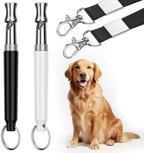 Atevn Dog 
