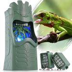 【Unique Hydration】 NEPTONION Reptile Water Feeder with Bad Stuff Filter, Auto Shutdown and Filling Reminder, Great for Chameleons, Frogs, Geckos, Bearded Dragons, Green (an Extra Filter Included)