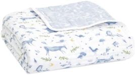 aden + anais Dream Baby Blanket - P