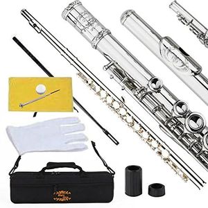 Engraved Glory Closed Hole C Flute for Band, Orchestra, With Case, Tuning Rod,Cloth,Joint Grease and Gloves, Engraved Silver Nickel Color flute
