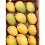 Fresh Cut Mangoes