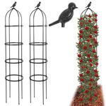 TCBWFY Obelisk Trellis for Climbing Plants 2 Pack,6 FT Tall Metal Garden Trellis,Plant Support for Climbing Vines,Flowers Stand,Thickened Tube Black Plant Tower,Rustproof Garden Obelisk Outdoor Indoor