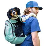 K9 Sport Sack | Dog Carrier Backpack for Small and Medium Pets | Front Facing Adjustable Dog Backpack Carrier | Fully Ventilated | Veterinarian Approved (Medium, Air Plus - Summer Mint)