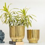 HomeShastra® Coral Gold Metal Planters | Pack of 2 | 9 Inch & 7.5 Inch (Height) by 9 inch & 7.5 Inch (Dia) respectivy | Planters for Living Room, Bedroom Decor