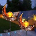 LVJING 2 Pack Solar Garden Lights, Outdoor Pathway Decorative Solar Moon Garden Stake Lights, Solar Landscape Lights with Crackle Glass Globe, Warm White for Yard, Lawn Wedding Party Decor Light