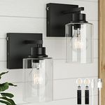 Rayogale Battery Operated Wall Scon
