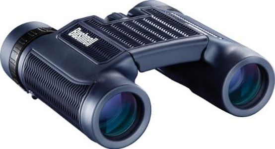 Bushnell BN130105 H2O Waterproof Compact Roof Prism Binocular, 10 x 25-mm Black