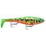 Rapala X-Rap Peto 20, Peacock