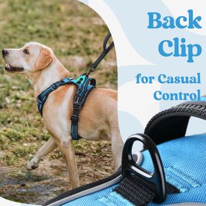 rabbitgoo Small Dog Harness, Sky Blue, Size M – No Pull Adjustable