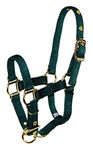 Hamilton Adjustable Miniature Nylon Horse Halter, Average, Dark Green