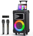 JYX AN20 Karaoke Machine with 2 Wir