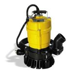 PST2 400 50mm/2in Submersible Pump 110V/60Hz