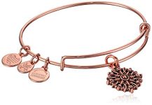 Alex and Ani Path of Symbols Expandable Bangle for Women, Compass Charm, Rafaelian Finish, 2 to 3.5 in, Expandable, N/A, not applicable,