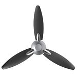 Usha Bloom Daffodil Goodbye Dust Ceiling Fan 1250mm, Sparkle Grey and Black