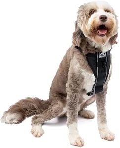 Kurgo Tru-Fit Smart Harness, Dog Harness, Pet Walking Harness, Quick Release Buckles, Front D-Ring for No Pull Training, Includes Dog Seat Belt Tether (Black, Large)
