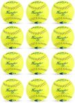 DUDLEY USSSA Thunder SY Slowpitch C