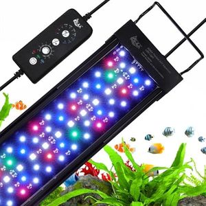 AQQA LED A