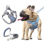 JdotMIN Harness for Dogs and Cats, No Pull Dog Harness Small Medium, Adjustable Reflective Pet Puppy Step in Harnesses Vest, Easy Walk Soft Breathable Padded Dog Leash Set (Blue, M)