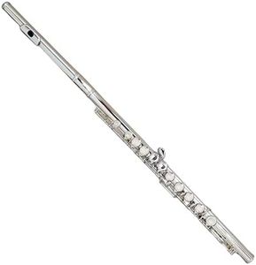 Deloitte C Flute Closed Hole 16 Keys Flute Nickel Plated, DFL-101, for Beginner Kids Student Flute Instrument with Cleaning Kit, Carrying Case, Gloves, Tuning Rod