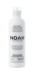 Noah Natural Nourishing Hair 2.1 Conditioner with Mango and Rice Proteins, Detangling & Hydrating, Vegetarian, Cruelty-Free, No Parabens & Silicone, Plant-Based Formula for All Kind of Hair, 250ml