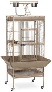 Prevue Pet
