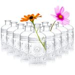 Kingrol 12 Pack Clear Glass Bud Vases, Small Vases for Flowers, Vintage Glass Bottles for Home Office Decor, Centerpieces for Wedding Table