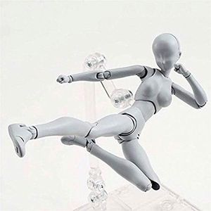 AXITWXIT Action Figures Body-Kun DX & Body-Chan DX PVC Figure Model Drawing for S H Figuarts with Box for Artists (Gray, Female)