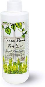 Indoor Pla