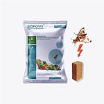 BIOPONIX Melon Fly Trap Lures (Bactrocera Cucurbitae) | Pack of 5 Vegetable Fly Lures | (Does not Include Traps) for Gherkins, Pumpkins, Water Melons, Bitter Gourd, Snake Gourd, Bottle Gourd, etc