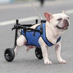 LudoPam Dog Wheelchair for Back Legs,Adjustable Pet Mobility Aids with Wheels,Dog Leg Brace and Hip Support, Suitable for Back Legs Disability, Paralysis, Injury, Hind Limb Weakness Pet (M)