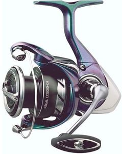 Daiwa Rega