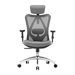 SIHOO Ergonomic Office Chair, High 