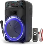 Dolphin BoxParty 1500: High Power 1