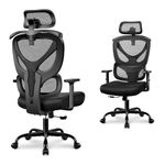 Winrise Office Chair Ergonomic Desk Chair Comfy Computer Chair, Big and Tall Home Office Chair with Back Support, Mesh Office Chair High Back Gaming Chair with Adjustable Armrest (Black)