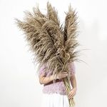9 Stems Pampas Grass Decor Tall 48'