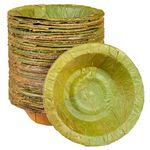 Healthy Edible's | Disposable | Siali Leaf Dessert Bowl (with Corrugated Sheets) | Medium | 5.5 inch | Set of 25 | (Green)