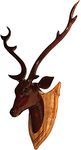 Bankura Traditional Art Center Deer Head Long Neck (46cm Black) Wooden handicrafts Home Decor Wooden Handmade Showpiece Wall Mount for Living Room Bedroom.