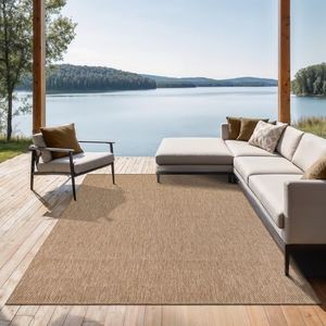 the carpet