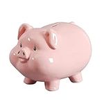 PIG WORLD 7" Piggy Bank for Adults,