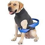 Dog Anxiety Jacket, Dog Thunder Shi