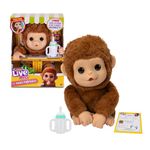 Little Live Pets - Mango, the interactive monkey, 50 interactive sounds and mouth movement, loves tickling and makes joyful sounds when you touch the belly! Packed with LP5000000 accessories