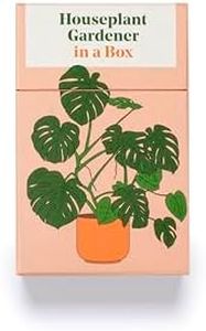 Houseplant