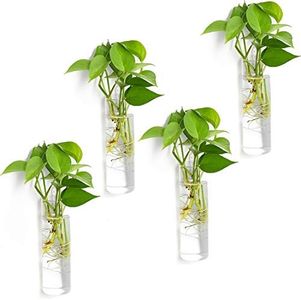 Vumdua 4 Pack Glass Planters, Clear, 5.9 in H x 1.85 in D, Suitable for Most Water Plants, Perfect for DIY Propagation Station, Easy to Install, Elegant and Functional