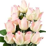 FiveSeasonStuff Real Touch Artificial Roses Flowers, Long Stem Rose Petals for Bridal Wedding Bouquet (12 Stems) Flower Arrangements Tall Vase, 21.8 inches (Lady Pink)